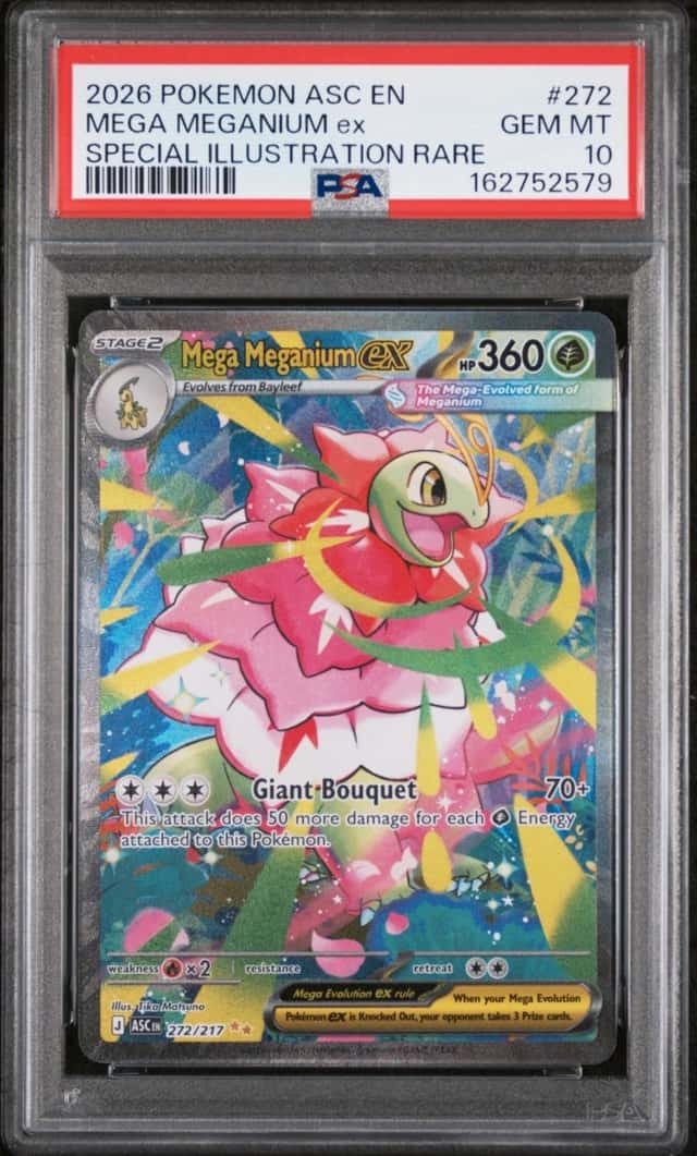 MEGA MEGANIUM ex