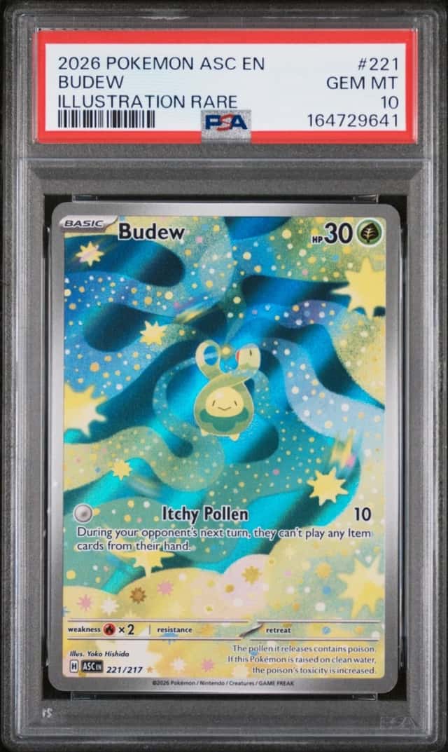 Budew