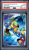 Turtwig