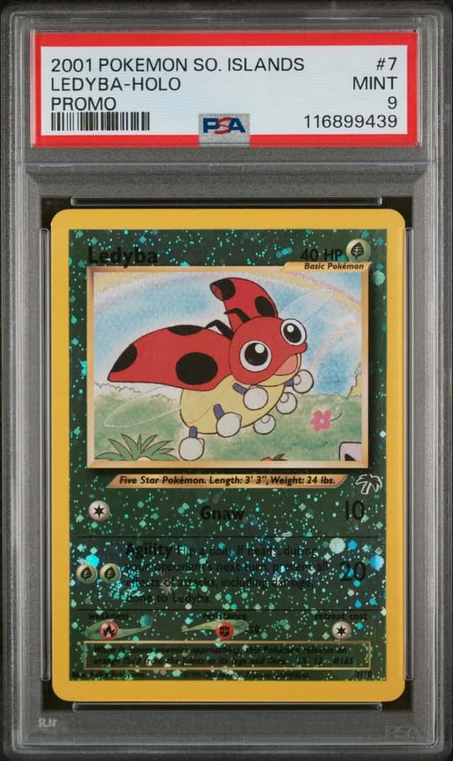 Ledyba