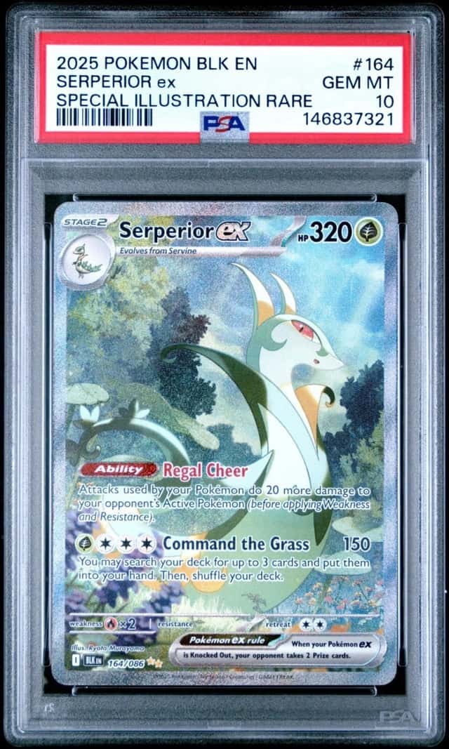 SERPERIOR ex