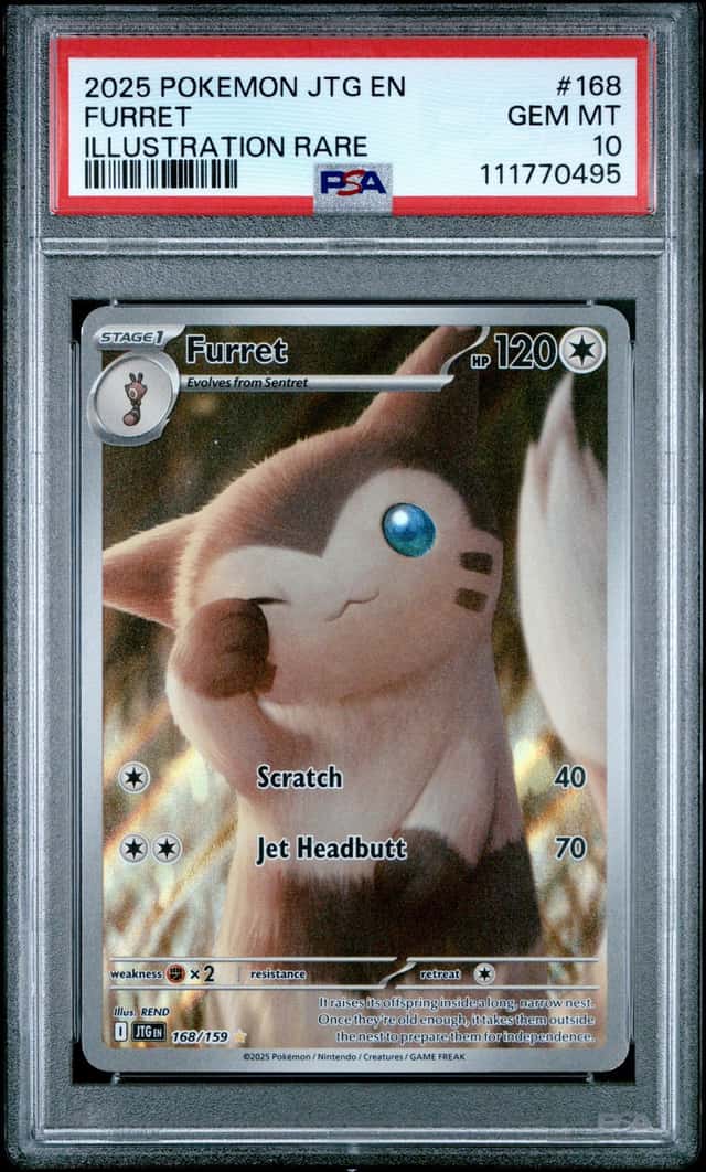 Furret