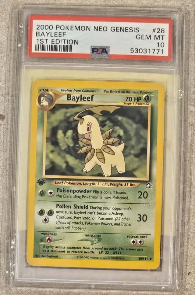 Bayleef