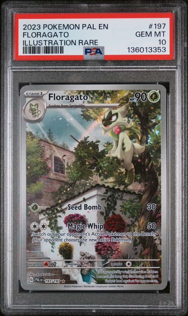 Floragato