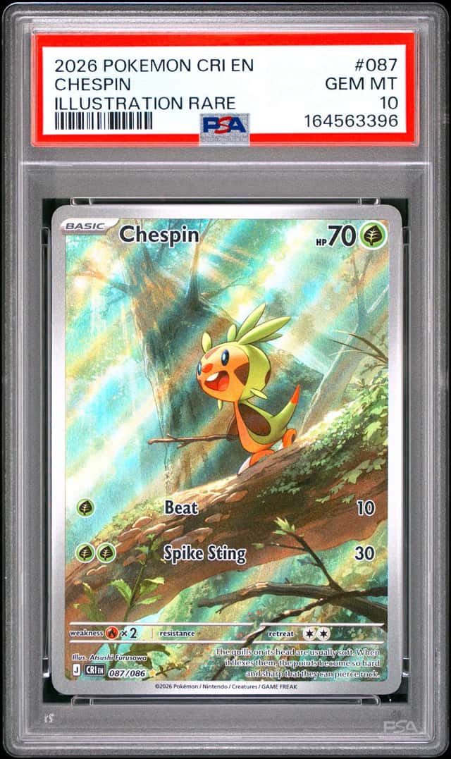 Chespin