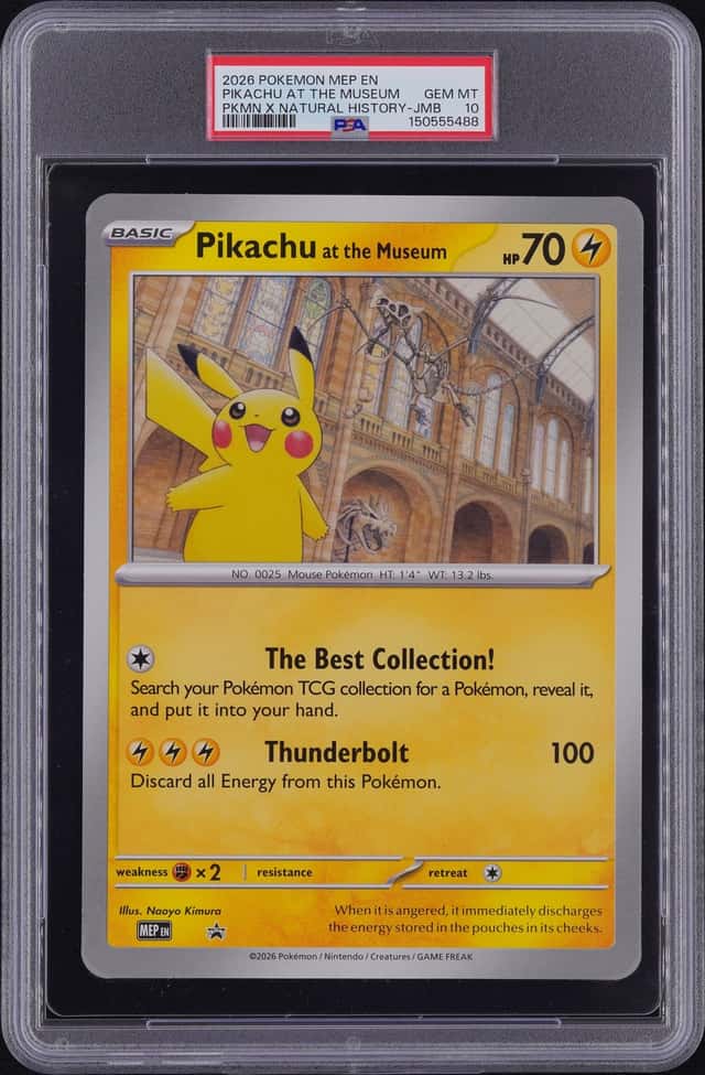 Pikachu At The Museum
