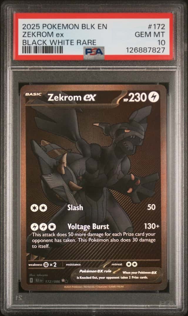 ZEKROM ex