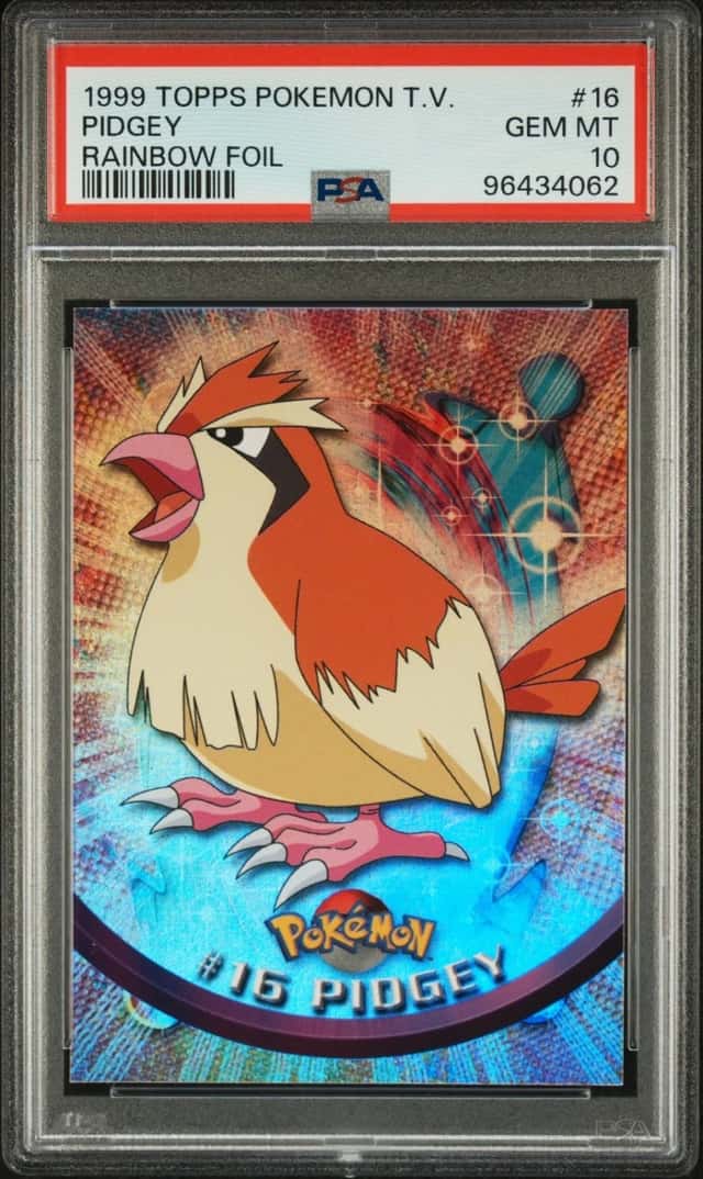 Pidgey