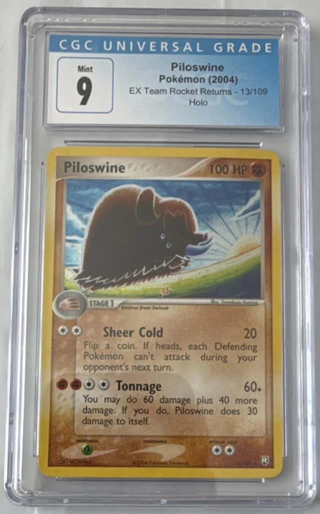 Piloswine
