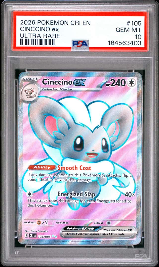 Cinccino ex
