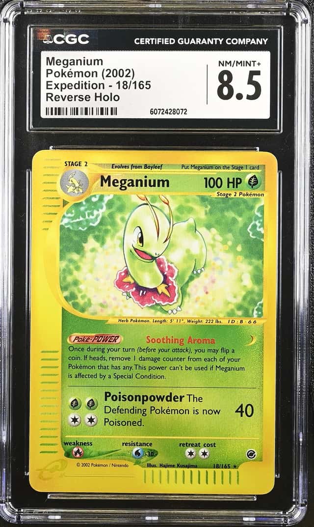 Meganium