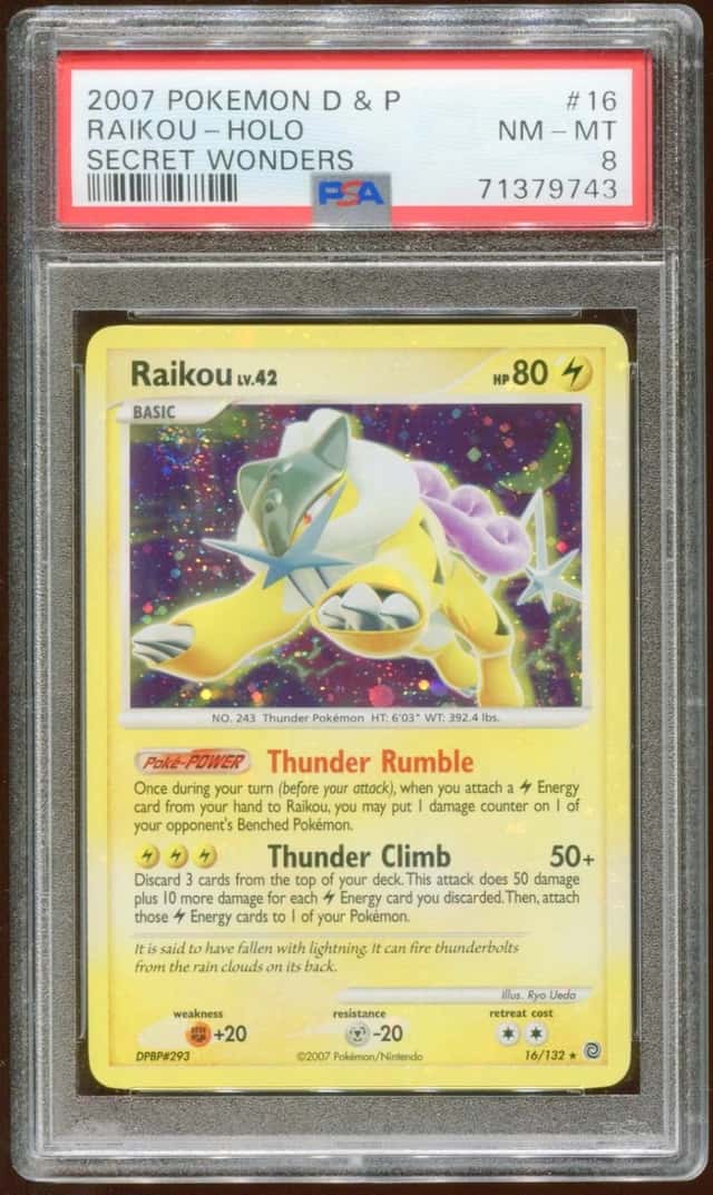 Raikou