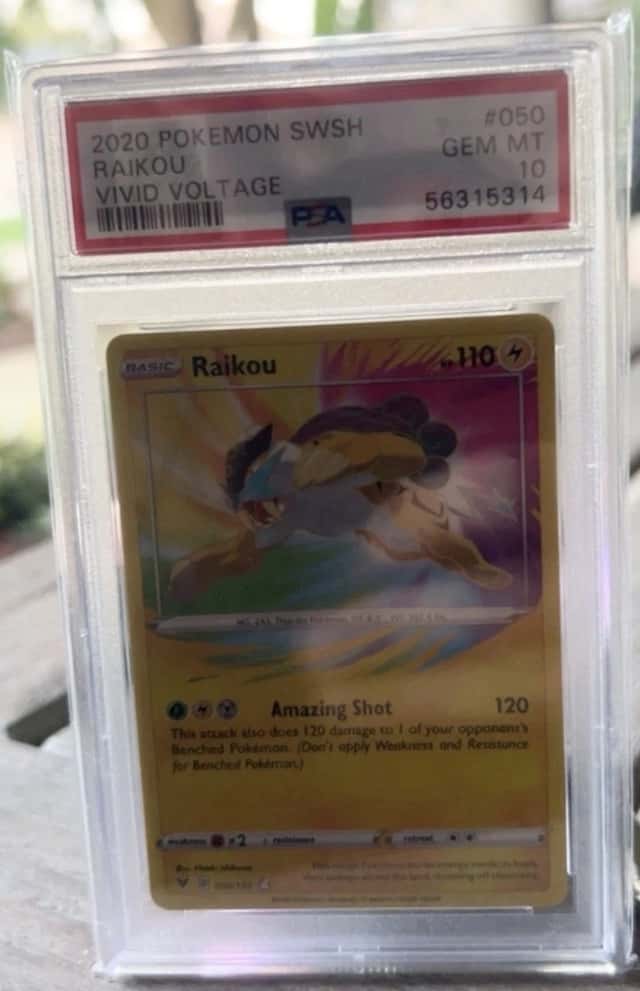 Raikou