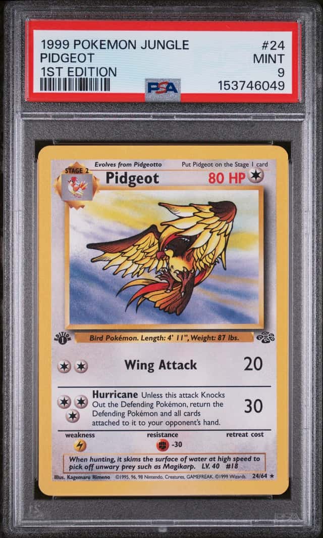 Pidgeot