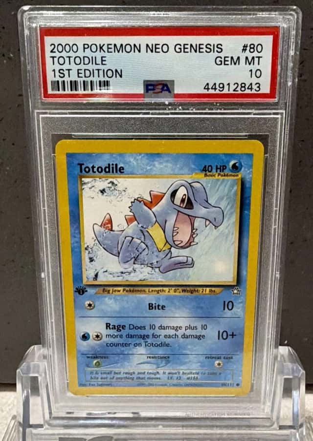 Totodile