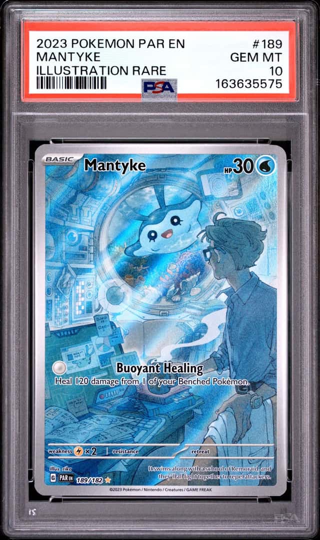 Mantyke