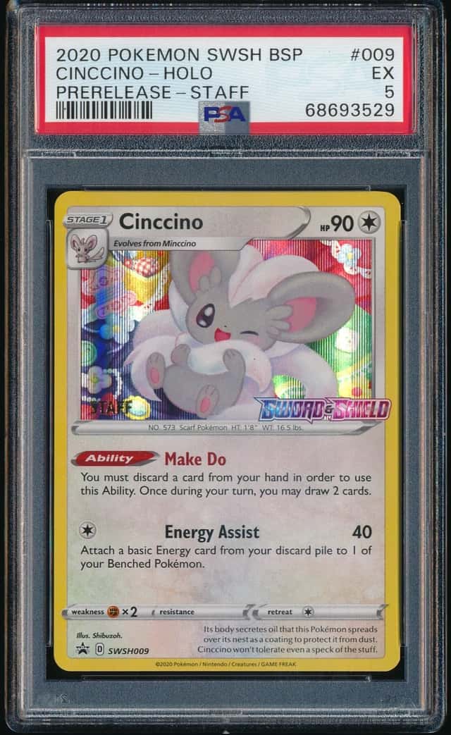 Cinccino