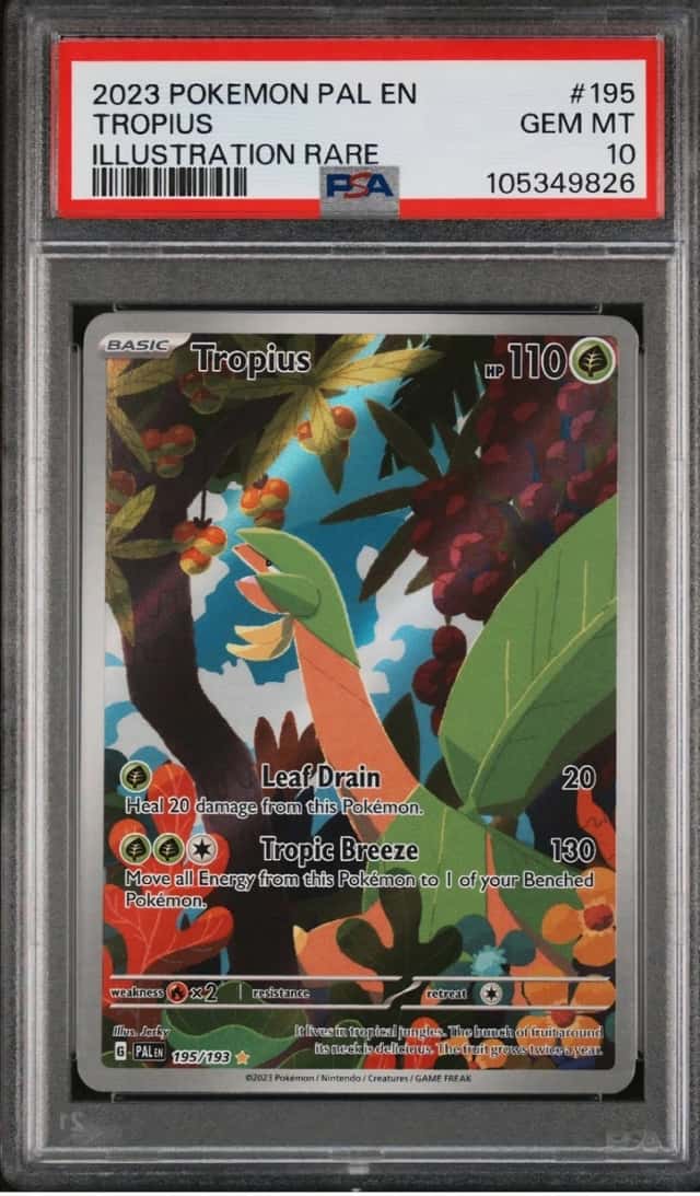 Tropius