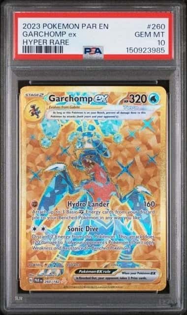 GARCHOMP ex