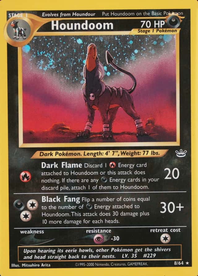 Holo