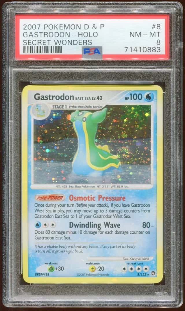Gastrodon