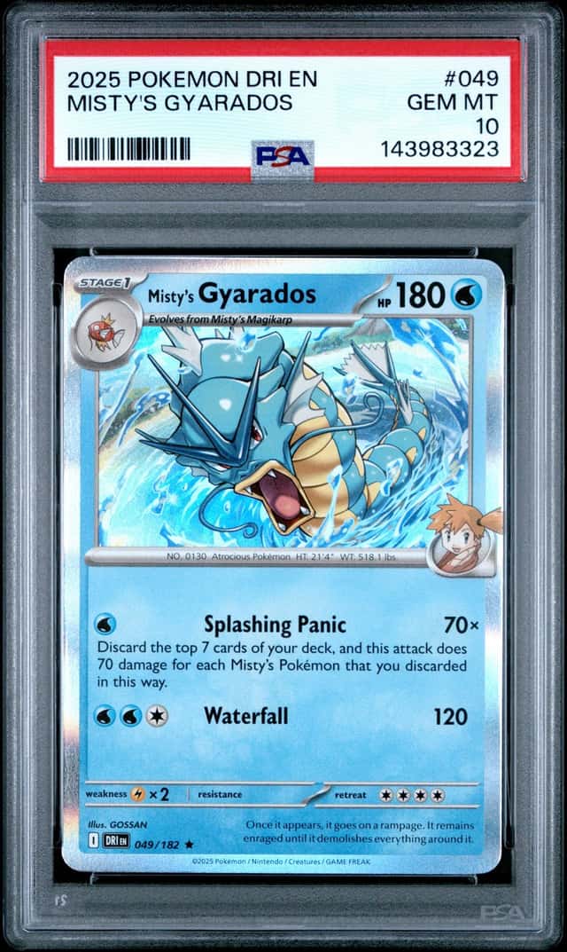Misty's Gyarados