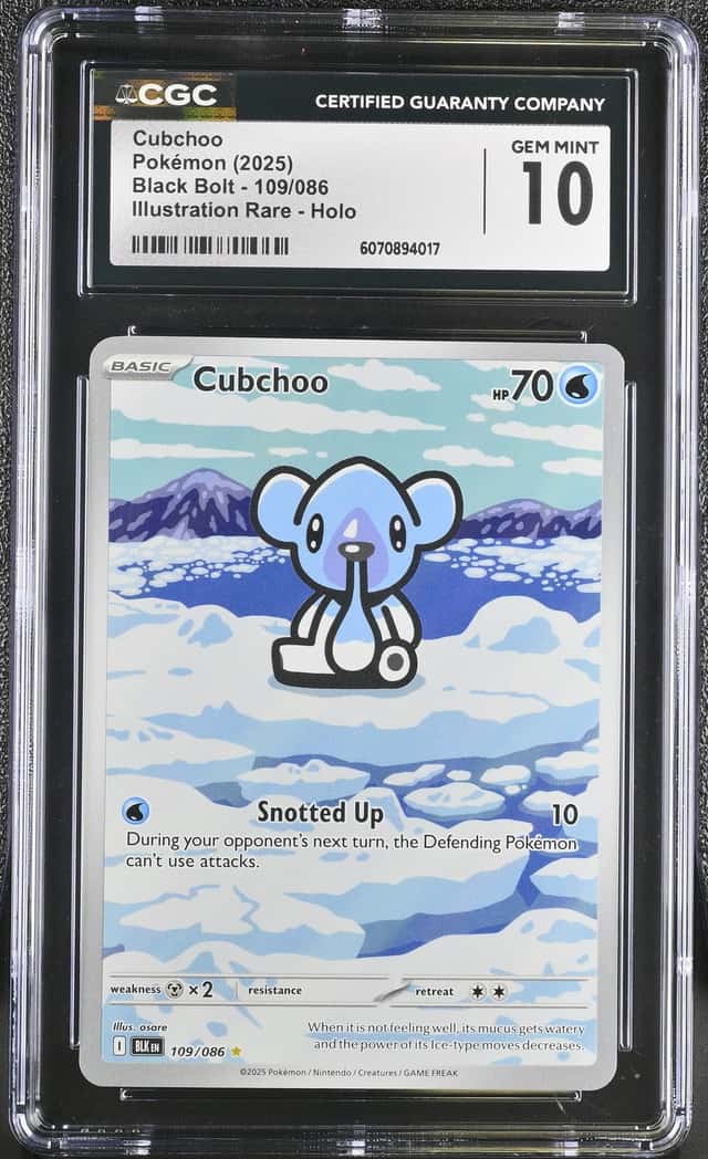 Cubchoo