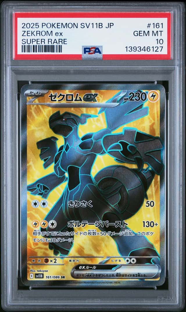 ZEKROM ex