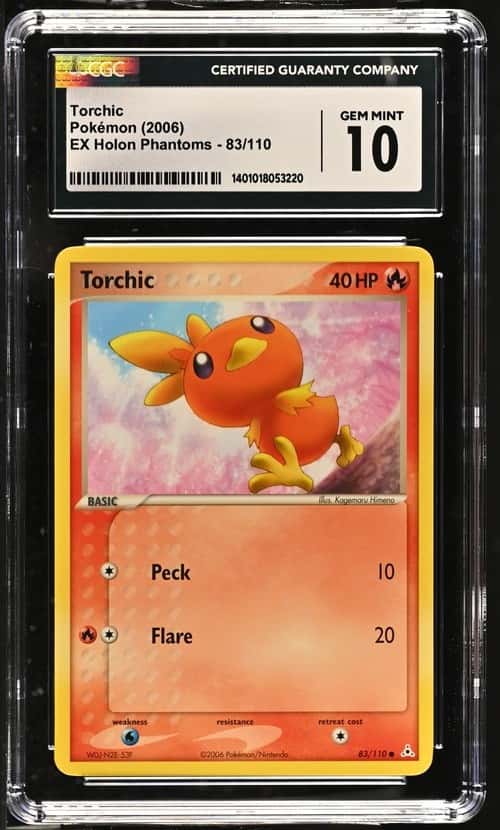 Torchic