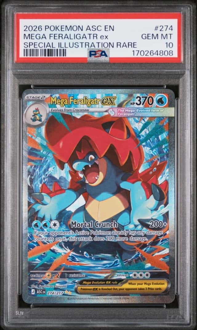 MEGA FERALIGATR ex