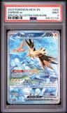 Zapdos Ex
