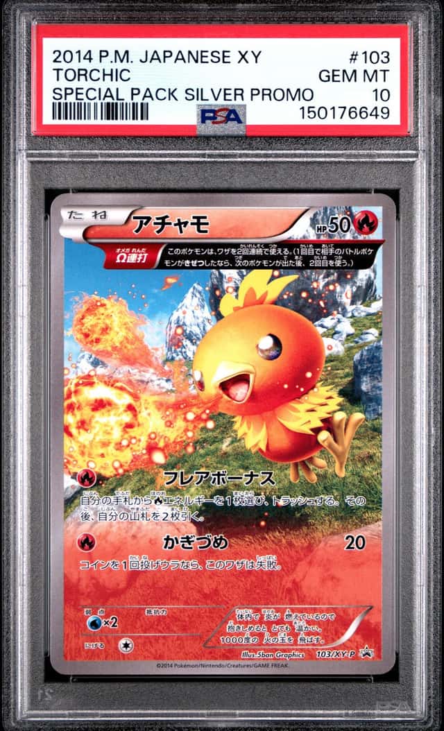 Torchic