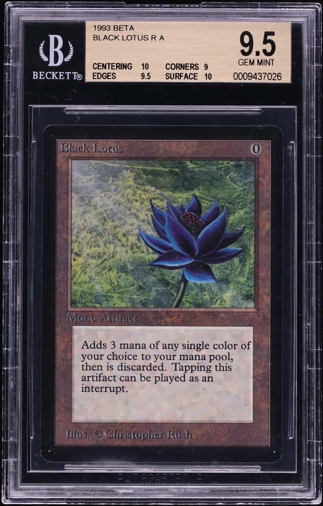 Black Lotus