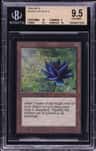 Black Lotus