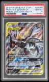 Pikachu & Zekrom Gx