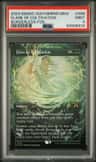 Flare Of Cultivation