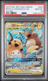 Raichu & Alolan Raichu Gx