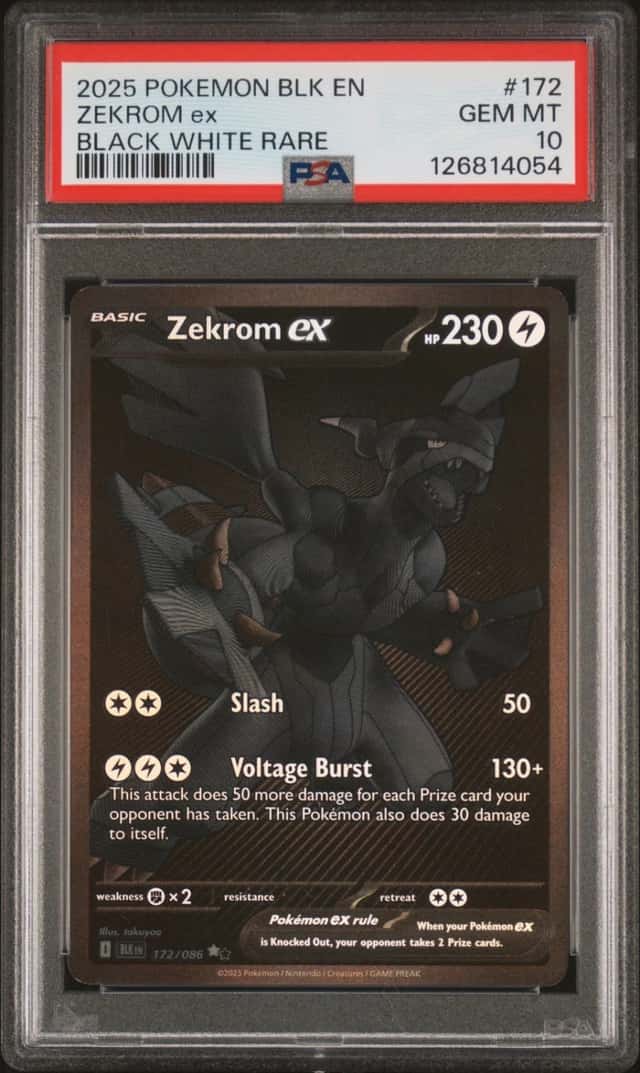 ZEKROM ex