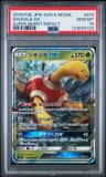 Shuckle Gx