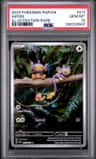 Aipom