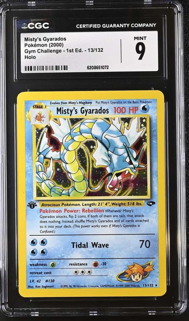 Misty's Gyarados