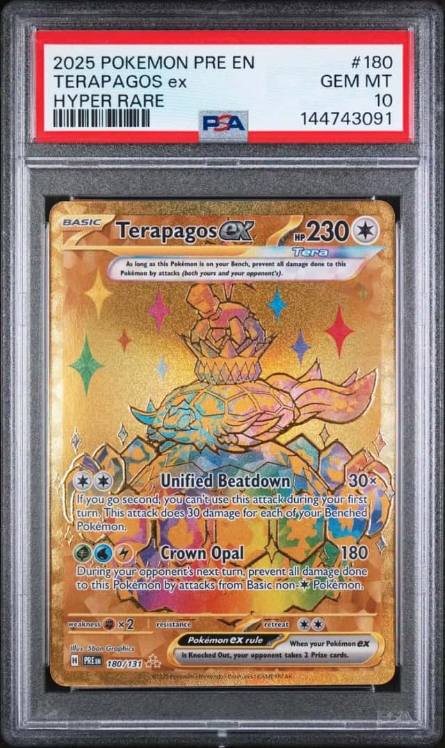 TERAPAGOS ex