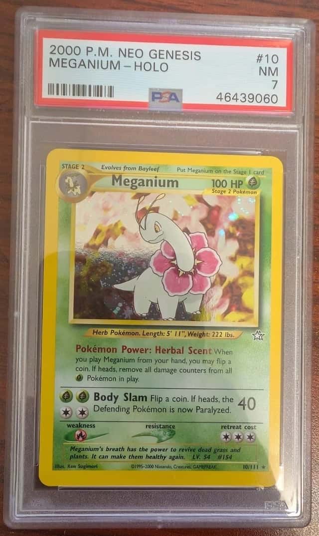 Meganium