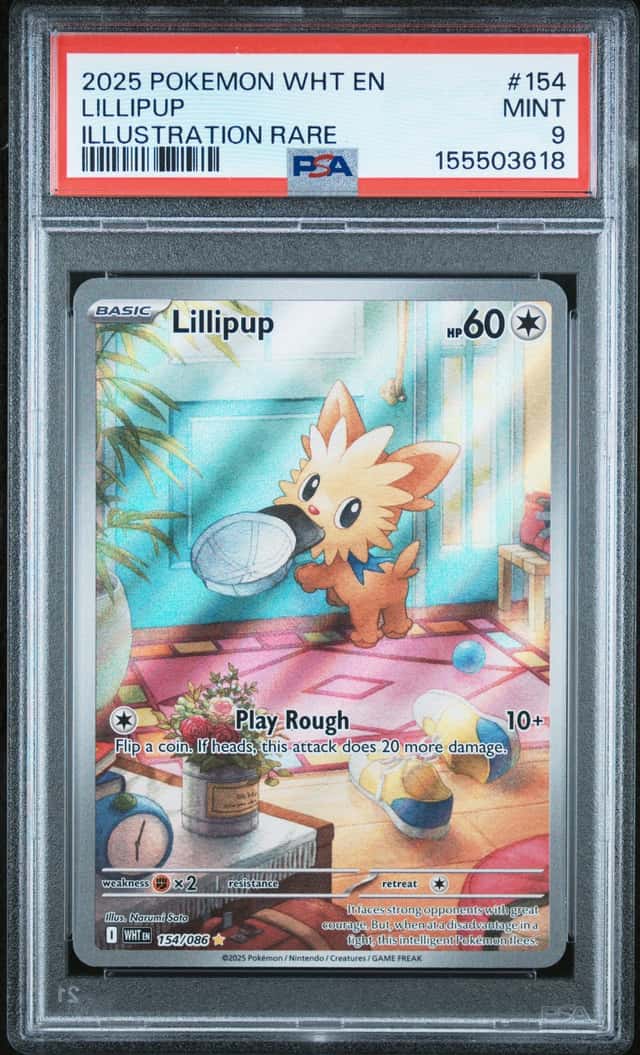 Lillipup