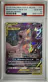 Mewtwo & Mew Gx