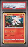 Scorbunny