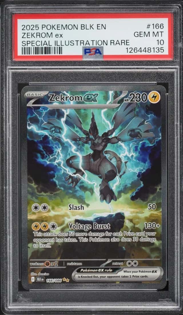 ZEKROM ex