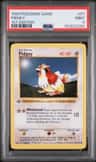 Pidgey