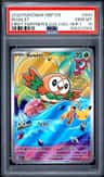 Rowlet