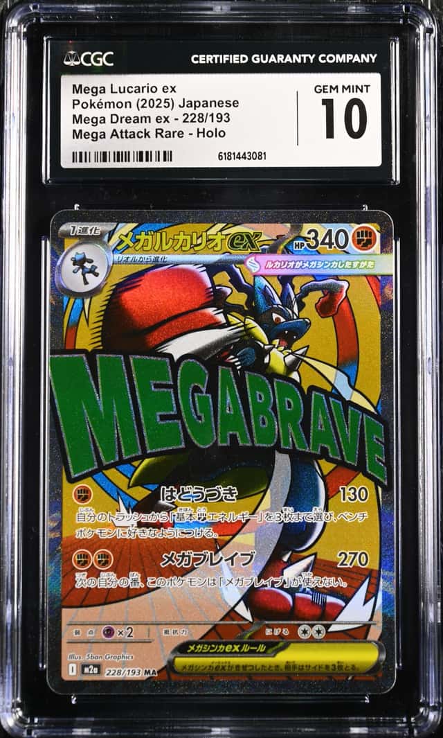 MEGA LUCARIO ex